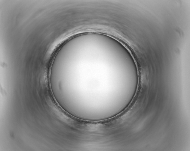 X0000091311498200708101454