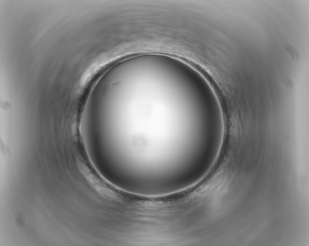 X0000091311499200708101454