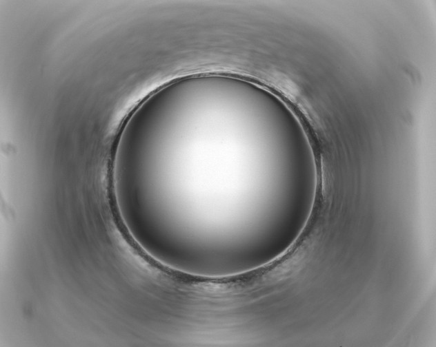 X0000091311500200708101454