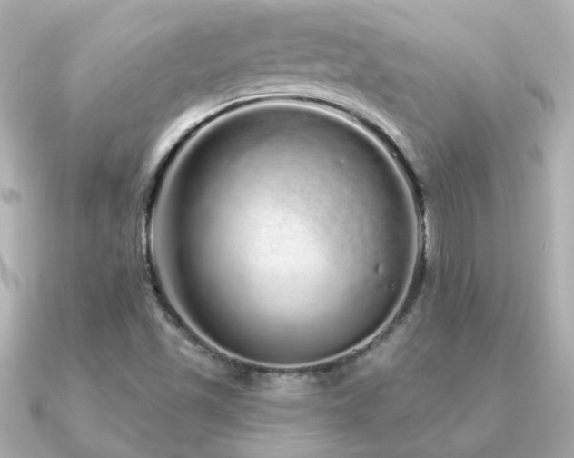 X0000091311501200708101454