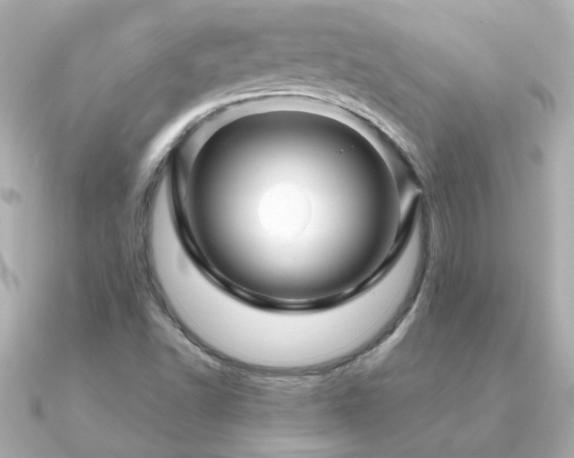 X0000091311502200708101454