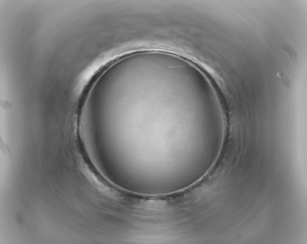 X0000091311503200708101454
