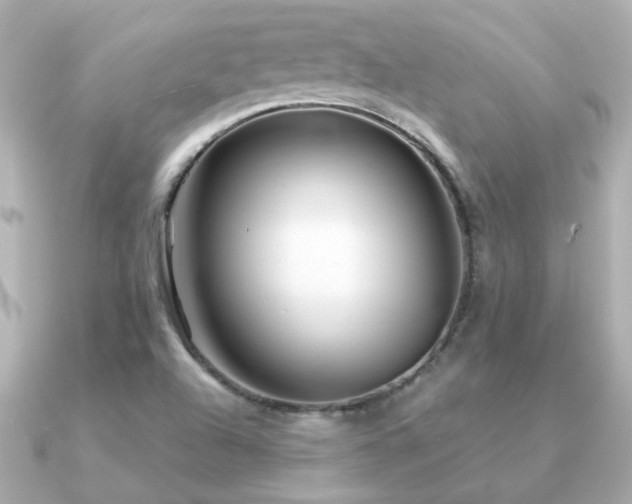 X0000091311504200708101454