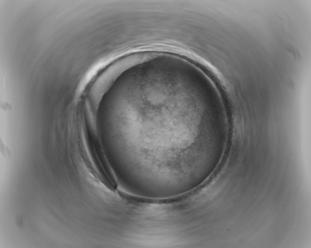 X0000091311506200708101454