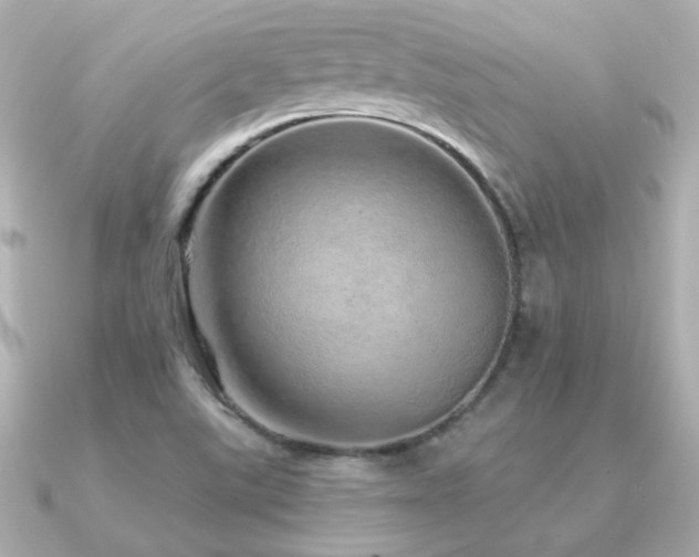 X0000091311507200708101454