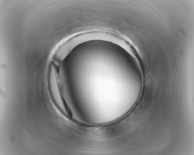X0000091311508200708101454