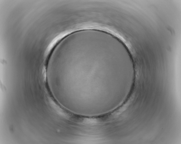 X0000091311509200708101454
