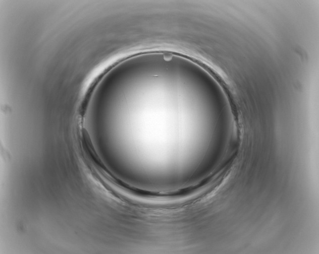 X0000091311510200708101454