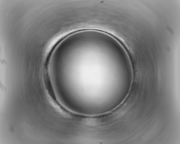X0000091311511200708101454