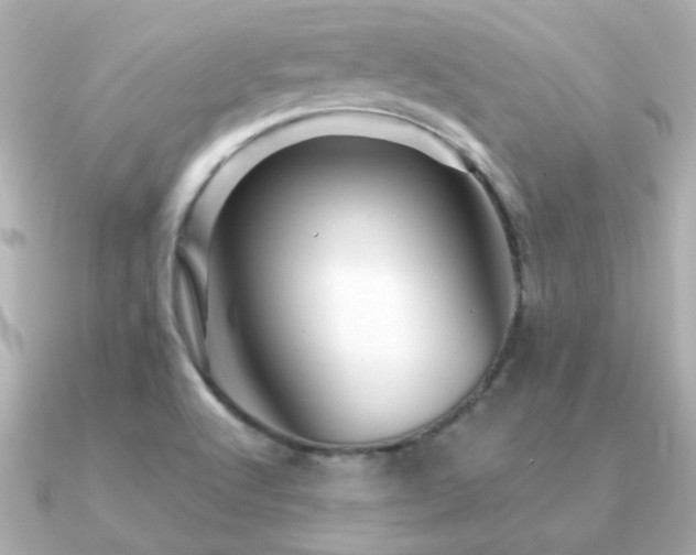X0000091311512200708101454