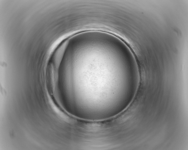 X0000091311515200708101454