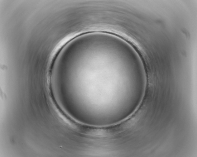 X0000091311517200708101454
