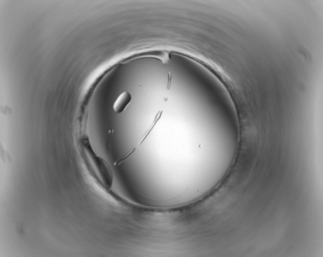 X0000091311518200708101454