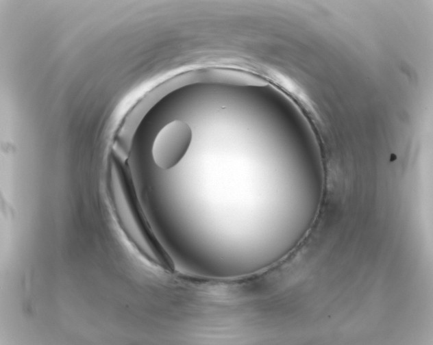 X0000091311520200708101454