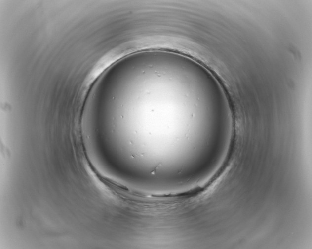 X0000091311521200708101454