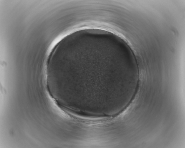 X0000091311522200708101454