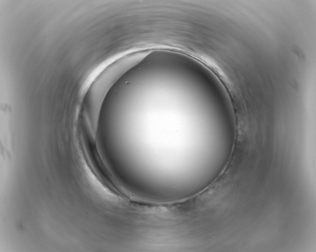 X0000091311524200708101454