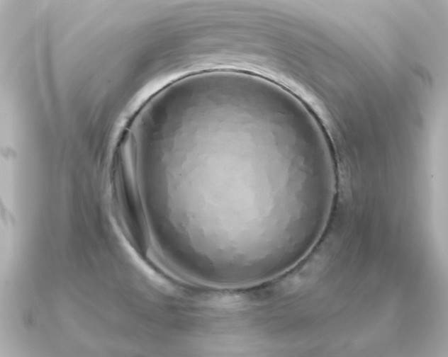 X0000091311525200708101454