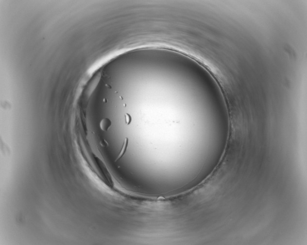 X0000091311526200708101454