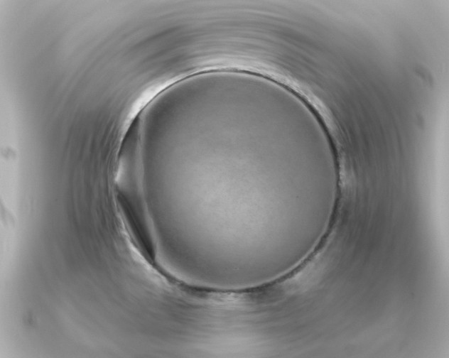 X0000091311529200708101454