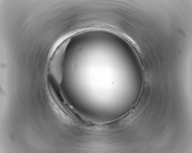 X0000091311530200708101454