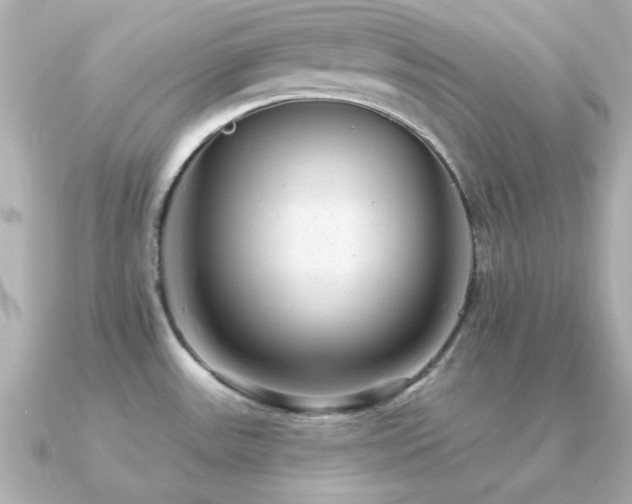 X0000091311531200708101454
