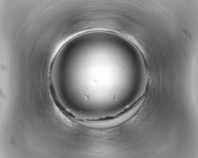 X0000091311532200708101454
