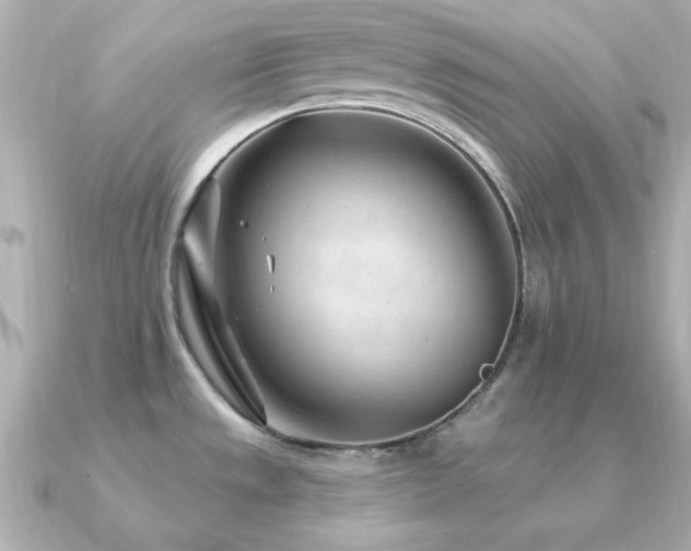 X0000091311533200708101454