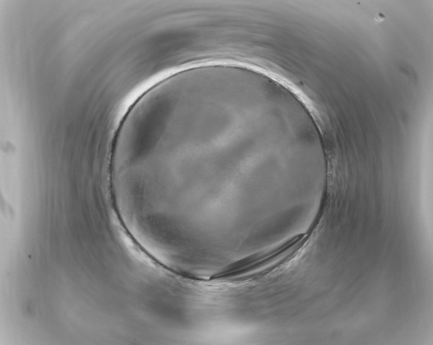 X0000091311534200708101454