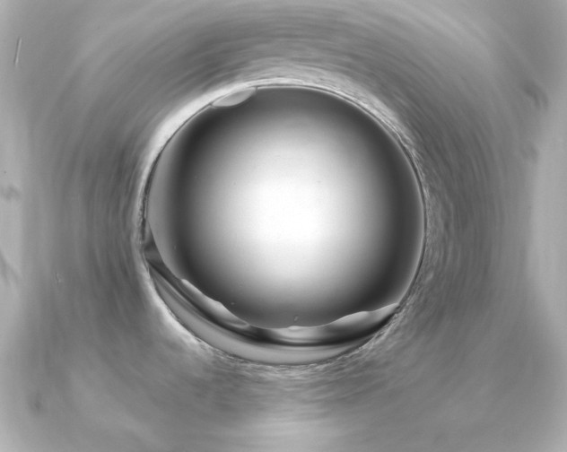 X0000091311536200708101454