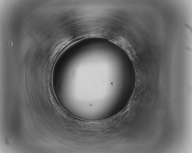 X0000091310001200708171427