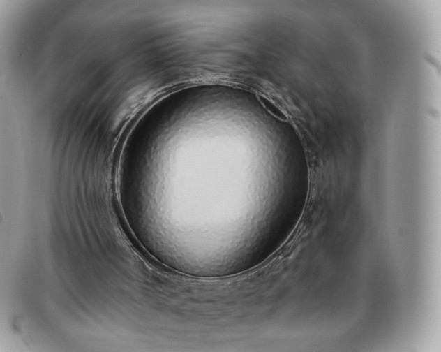 X0000091310002200708171426