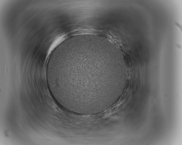 X0000091310004200708171426