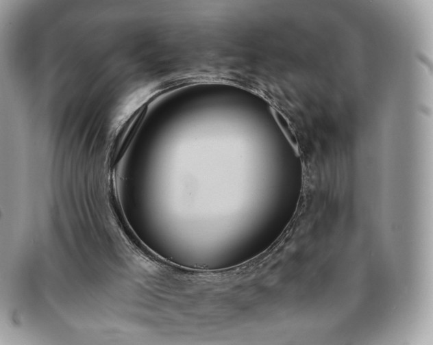 X0000091310005200708171426