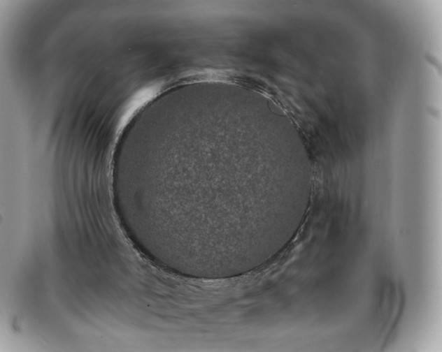 X0000091310006200708171426