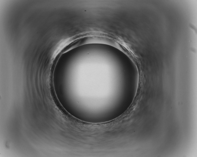 X0000091310007200708171426