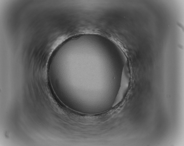 X0000091310008200708171426