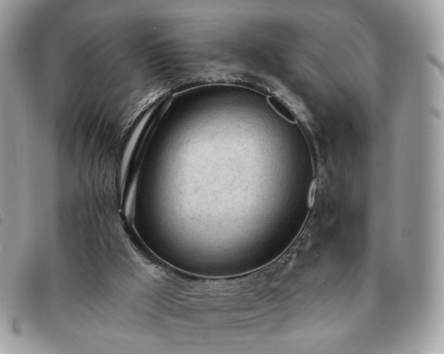 X0000091310009200708171426