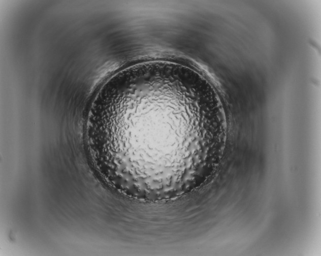 X0000091310010200708171426