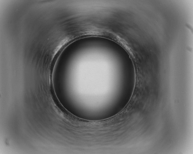 X0000091310011200708171426