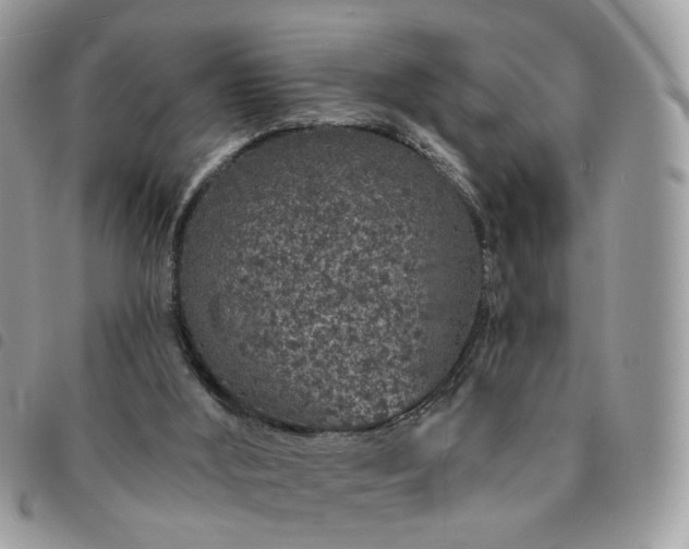 X0000091310012200708171426