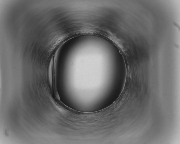 X0000091310013200708171426