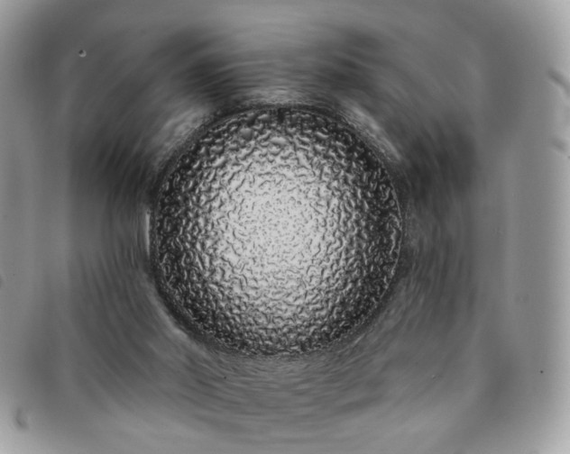 X0000091310014200708171426