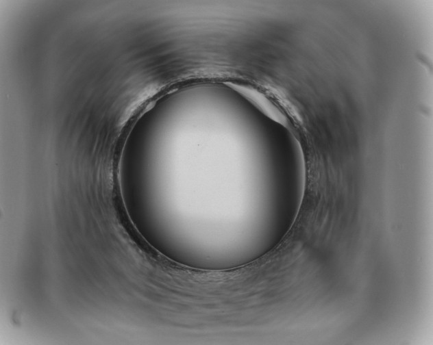 X0000091310015200708171426