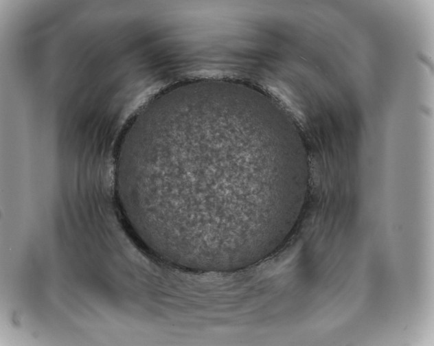 X0000091310016200708171426