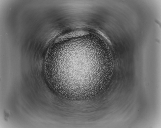 X0000091310018200708171426