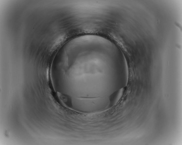 X0000091310019200708171426