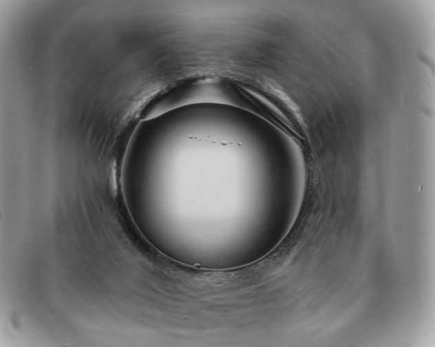 X0000091310020200708171426