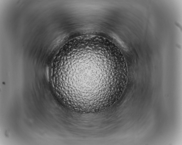 X0000091310022200708171426