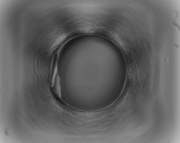 X0000091310023200708171426